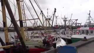 Newlyn Harbour 2014 [upl. by Sholeen535]