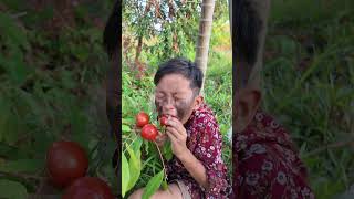 Ăn hồng suýt đuối nước  Eating persimmons almost drowned shorts [upl. by Simetra]