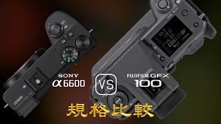 Sony A6600 與 Fujifilm GFX 100 的規格比較 [upl. by Naid]