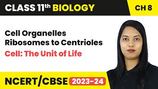 Cell Organelles Ribosomes to Centrioles  Cell The Unit of Life  Class 11 Biology Chapter 8  CBSE [upl. by Nyar]