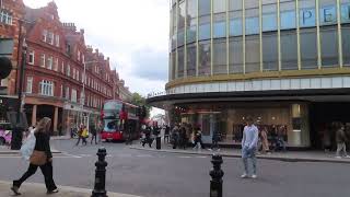 Londons Magic Sights Sounds and Stories travel london [upl. by Karola436]