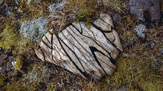 Verdieping CSE Aardrijkdkunde Havo en VWO  Domein C  Verwering erosie en sedimentatie [upl. by Taylor]