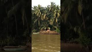 Sharavati River Backwater Boating Honnavar [upl. by Enattirb955]