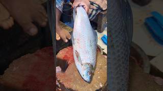 Delicious Kali Baush Fish Cutting Skills by Professional Cutting Live part4 😱 shorts [upl. by Yarehs]