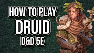 HOW TO PLAY DRUID [upl. by Jervis864]