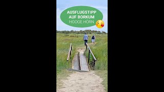 Ausflug ans Hooge Hörn  Schöne Wanderung zum Ostende von Borkum [upl. by Merridie768]