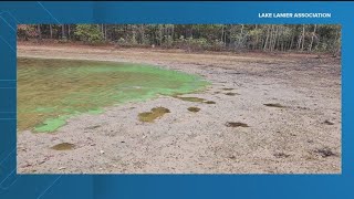 Algae blooms at Lake Lanier could be harmful to people [upl. by Liesa]