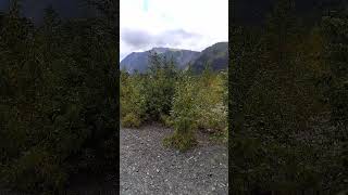 Grewingk glacier hike Alaska [upl. by Ipoillak]