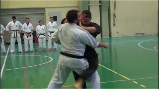 Shorin Ryu Karate Do  Okinawan Kobudo  Self Defense [upl. by Yort]