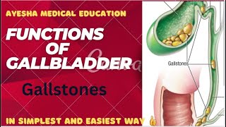 FUNCTIONS of Gallbladder Gallbladder anatomy extrahepatic biliary apparatusayeshamedicaleducation [upl. by Knut346]