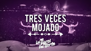 Los Tigres Del Norte TRES VECES MOJADO [upl. by Yasdnyl287]