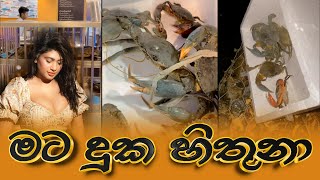 Piumi Hansamali  මට දුක හිතුනා [upl. by Eerrehc]