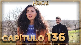 Hercai  Capítulo 136 [upl. by Gualtiero]