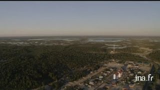 Sibérie  marécages arborés de la région de Surgut [upl. by Ezana]