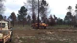 AllisChalmers HD21 Knocking Down Trees [upl. by Vandyke]