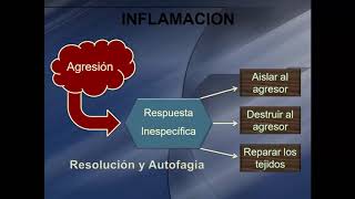 Clase Respuesta inflamatoria [upl. by Swainson]