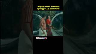 കാണുന്നവര് കണ്ണടച്ചു പൊയ്‌ക്കോളും youtubeshorts malayalam reels mollywood oldmalayalammovies [upl. by Hael344]