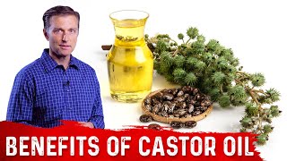 Interesting Benefits Of Castor Oil – Dr Berg [upl. by Nosecyrb]