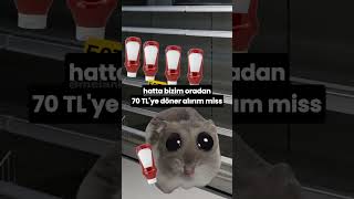 Böyle olan arkadaşlarına gönder 😂 hamster sadhamster üzgünhamster [upl. by Ahsieit418]