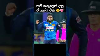 World class 💗 srilanka youtubeshorts cricket [upl. by Arretak463]