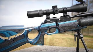 REVIEW FX Crown Air Rifle 22  Power Accuracy NEW X Barrel [upl. by Canada116]