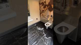 How Does a SelfCleaning Toilet Work 🤔 EXPLAINED [upl. by Gayner731]