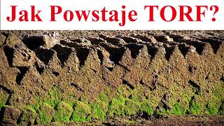 Jak Powstaje TORF [upl. by Atteselrahc]