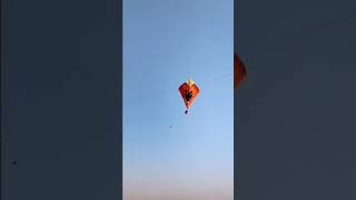 pindi basant 2024 flyingbigkites [upl. by Etnaud]