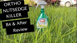 REVIEW Ortho Max Nutsedge Killer RTU Does the Trick in My Front Yard [upl. by Krid80]