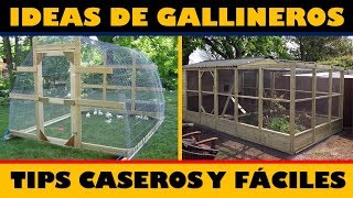 Las Mejores Ideas para hacer Gallineros  Tips Caseros [upl. by Erde]