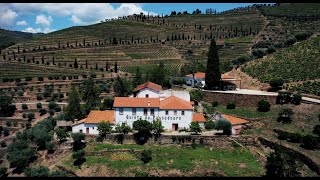 Quinta do Noval Vinhas do Passadouro Douro DOC 2020 English [upl. by Von]