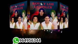 ROY Y LOS GENTILES  MIX VIVORA PARA YOLA pista sin guitarra 🎸 [upl. by Ceevah]