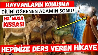 HzMusa ve Hayvanların Konuşma Dilini Bilen Adamın Sonu HEPİMİZE BÜYÜK DERS [upl. by Scammon814]