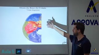 Introdução ao estudo do CRÂNIO  Generalidades e Base do CRÂNIO  AULA 5 [upl. by Adaran]