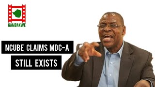 Welshman Ncube claims MDC Alliance still exists [upl. by Bisset]