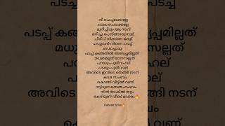 Finally songMalayalam lyrics musicshorts [upl. by Anaitsirc]