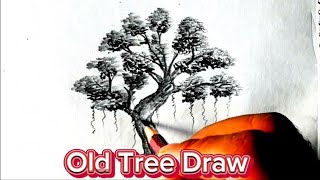 HowTo Draw Old Tree✍️♥️♥️🥰 Tree Banaune Tarika ♥️✍️ [upl. by Ahrat947]