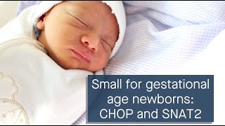 Small for gestational age newborns CHOP upregulation and SNAT2 dysregulation [upl. by Jurdi99]