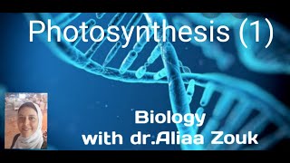 Biology senior 2 2nd secondary lesson 2  part 3 photosynthesis 1 [upl. by Arras]