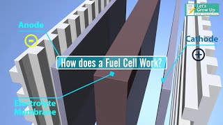 How does a hydrogen fuel cell work  what is hydrogen fuel cell  hydrogencell explain [upl. by Terrel]