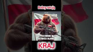 Bohaterskie bobry👊shorts bohater bóbr heroic animals polska poland [upl. by Norred]