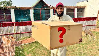 Itny Bary Box Main Konsa Pet Aya Hai ？Kia Ho Sakta Box Main 🤔 [upl. by Adias]