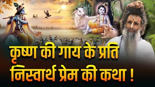 कृष्ण की गाय के प्रति निस्वार्थ प्रेम की कथा  With SadguruShriRiteshwar  Podcast By Arvind Arora [upl. by Enelaehs619]