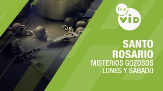 Santo Rosario 📿 Misterios Gozosos  Lunes y Sábado Tele VID SantoRosario TeleVID [upl. by Yrovi125]