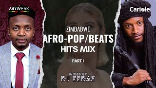 Zimbabwe AfropopBeats Hits Part 1 Video Mix ft Holy Ten Killer T Julian King Winky D amp More [upl. by Fogel]