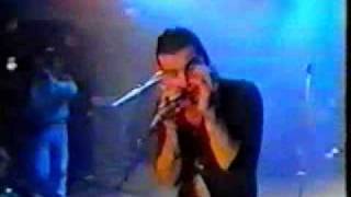 litfiba eroi nel vento live 1987 [upl. by Gualterio185]