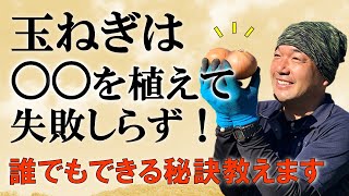 【目から鱗】玉ねぎは〇〇を植えて失敗しらず！！誰でもできる栽培方法教えます。【自然農法】 [upl. by Leksehc644]