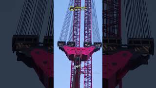 Une Grue de 90 000 TonnesMètres 😮shorts [upl. by Harac253]