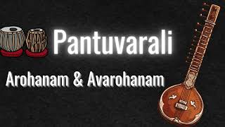 Raga Pantuvarali Arohanam and Avarohanam isai pantuvarali raga carnaticmusic [upl. by Saks250]