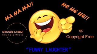 Funny Laughter  Hysterical Laughing Sound Effects No Copyright [upl. by Nnairret62]